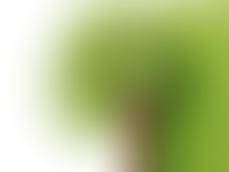 Can Greens Powders Really Replace Whole Fruits And Vegetables?