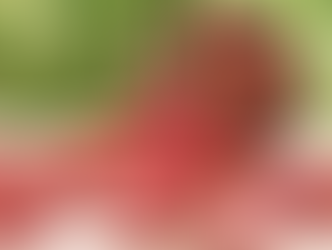 New Summer Obsession: Sweet Mint Sugar with Strawberries & Cream