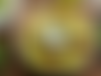 Zucchini Is Summer’s MVP—Here’s How to Make It the Star of Your Plate