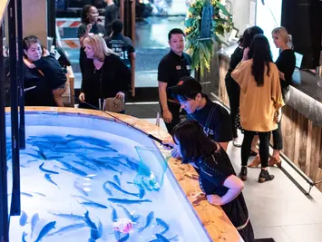 Ever Fished for Your Dinner? At This Restaurant, Your Catch Is On the Menu!