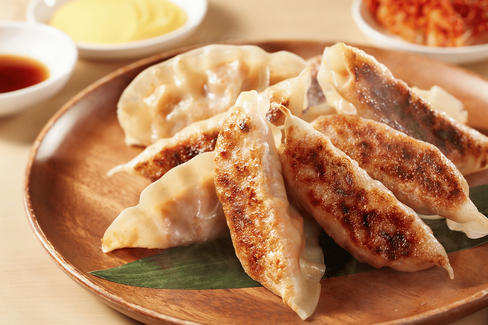 pan fried dumplings