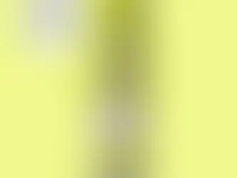 New Olive Oil Martini in a Can