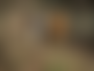 Dogs Help Identify Two New Truffle Species in the US