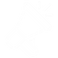 Megaphone Icon