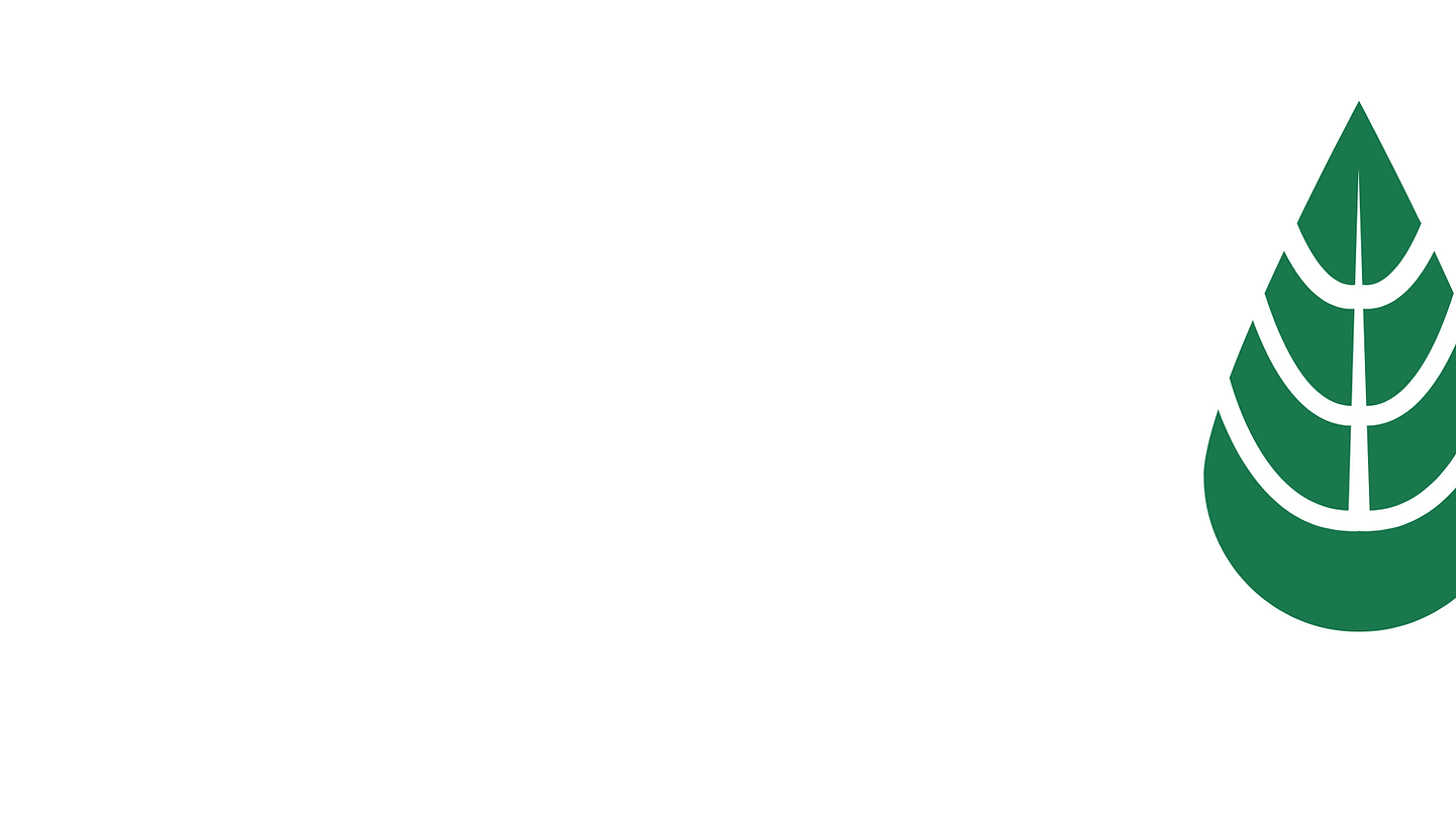 Green Gradient Modern Minimalist Environmental Sustainability Presentation (5).png