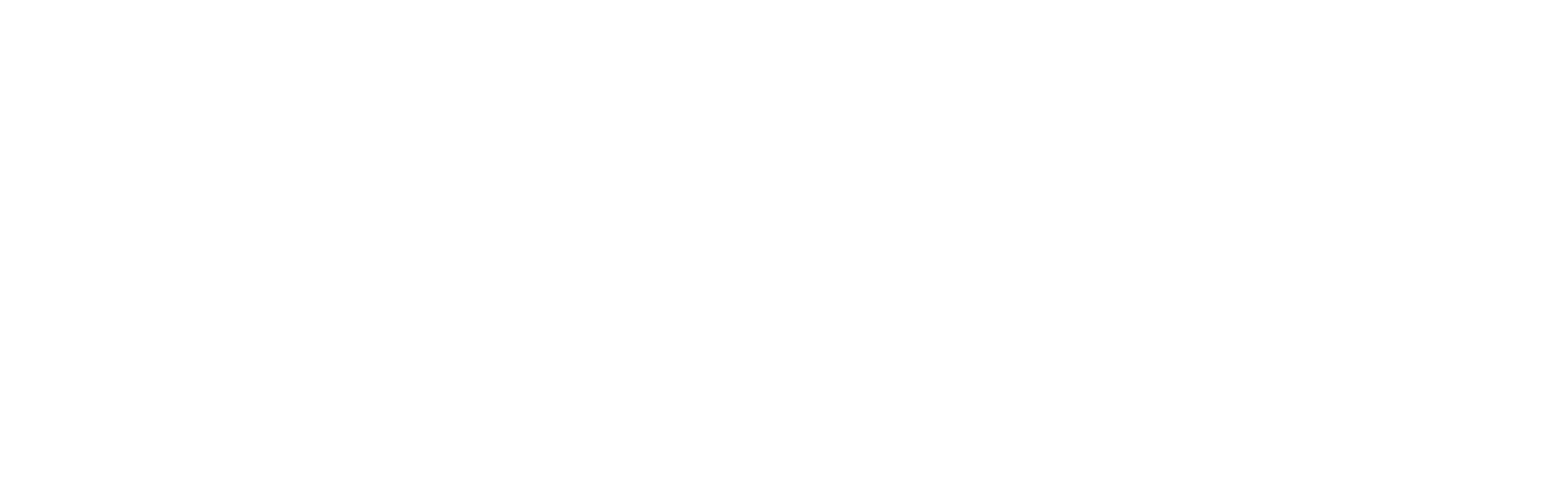 footer logo.png