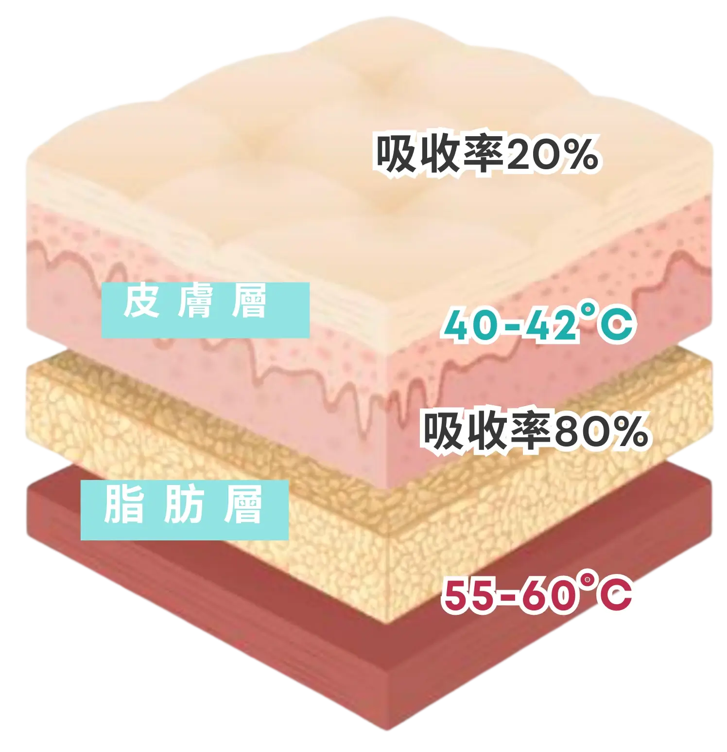 p.webp