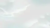 bg_1x.webp