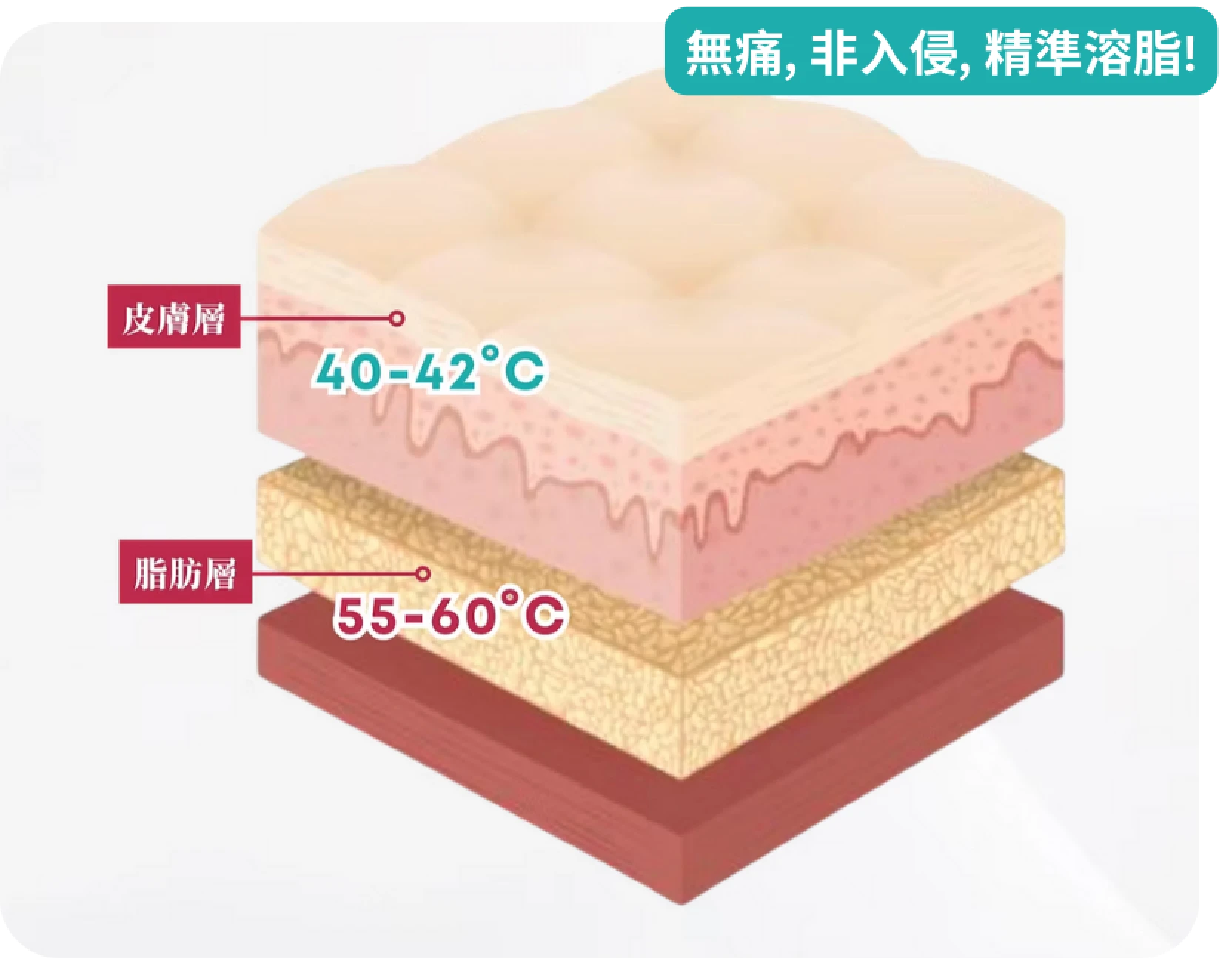 展示不同皮膚層次及其相應的溫度範圍,分為皮膚層、脂肪層及深層組織。