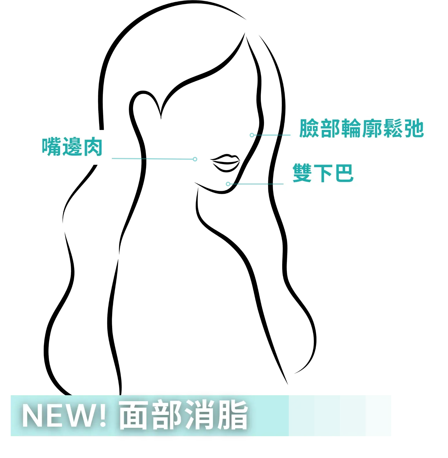 face_1x.webp