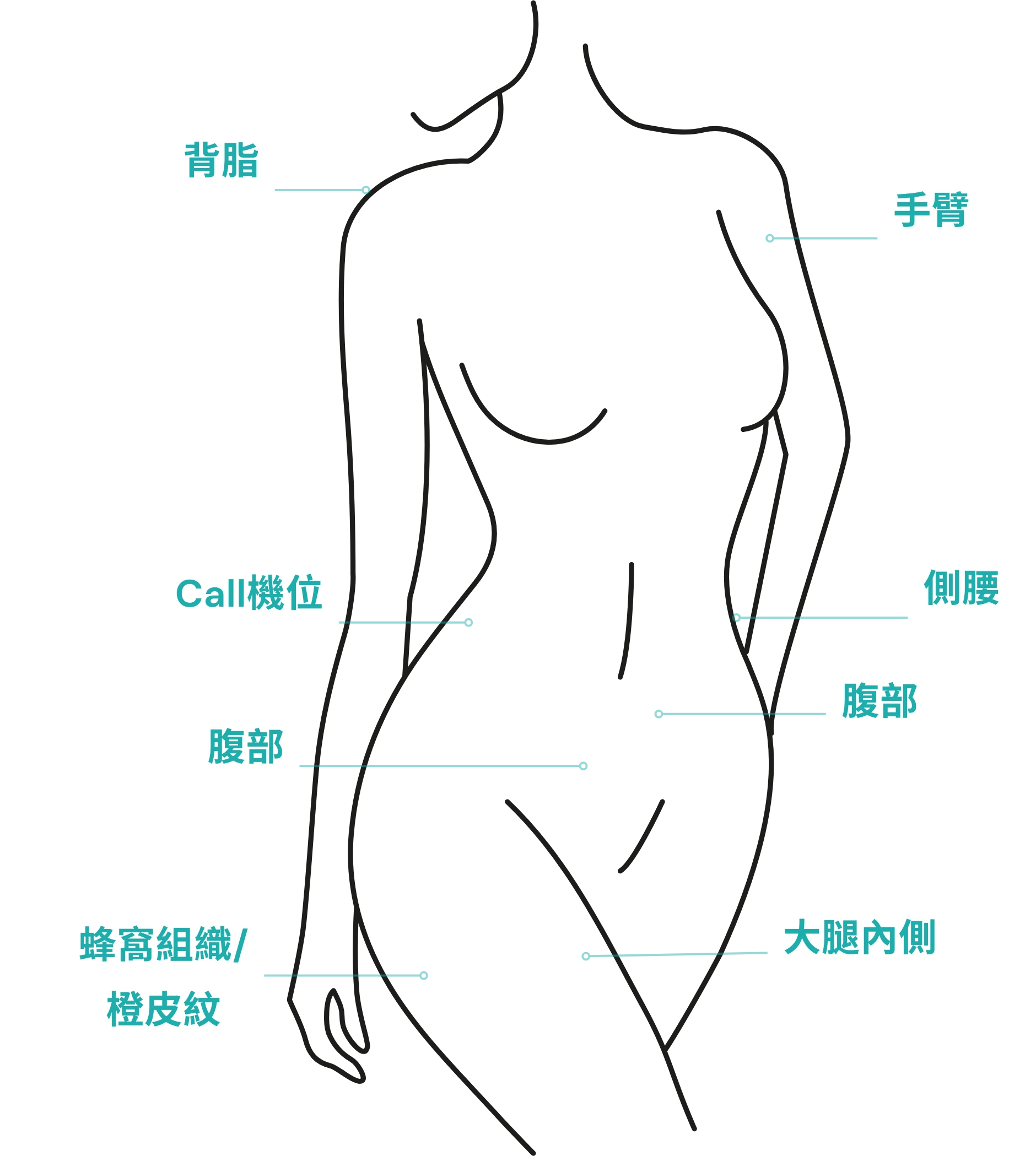 body.webp