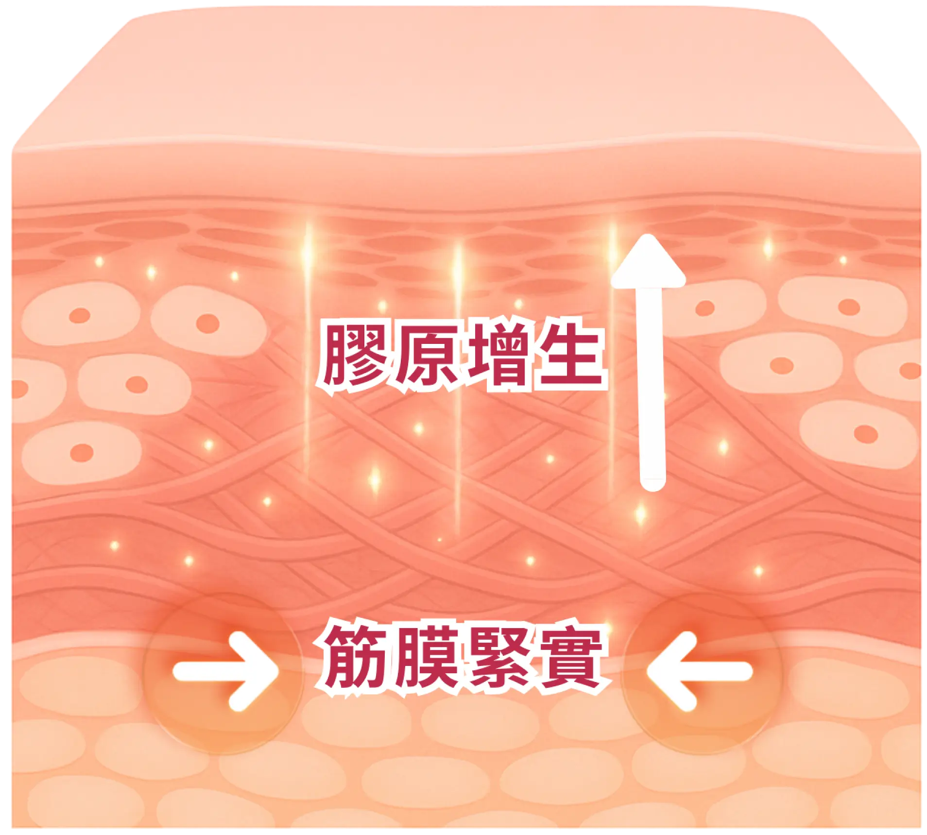 _  一個療程雙重效果.webp