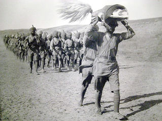LIONS OF THE GREAT WAR