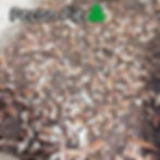 🌲Special-Pecan Pie