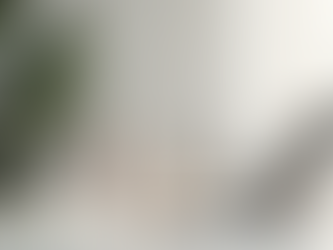 Elevate Your Brand with Wellness Branding Strategies