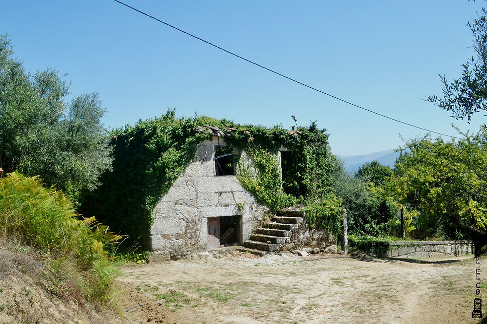 Alvite 12