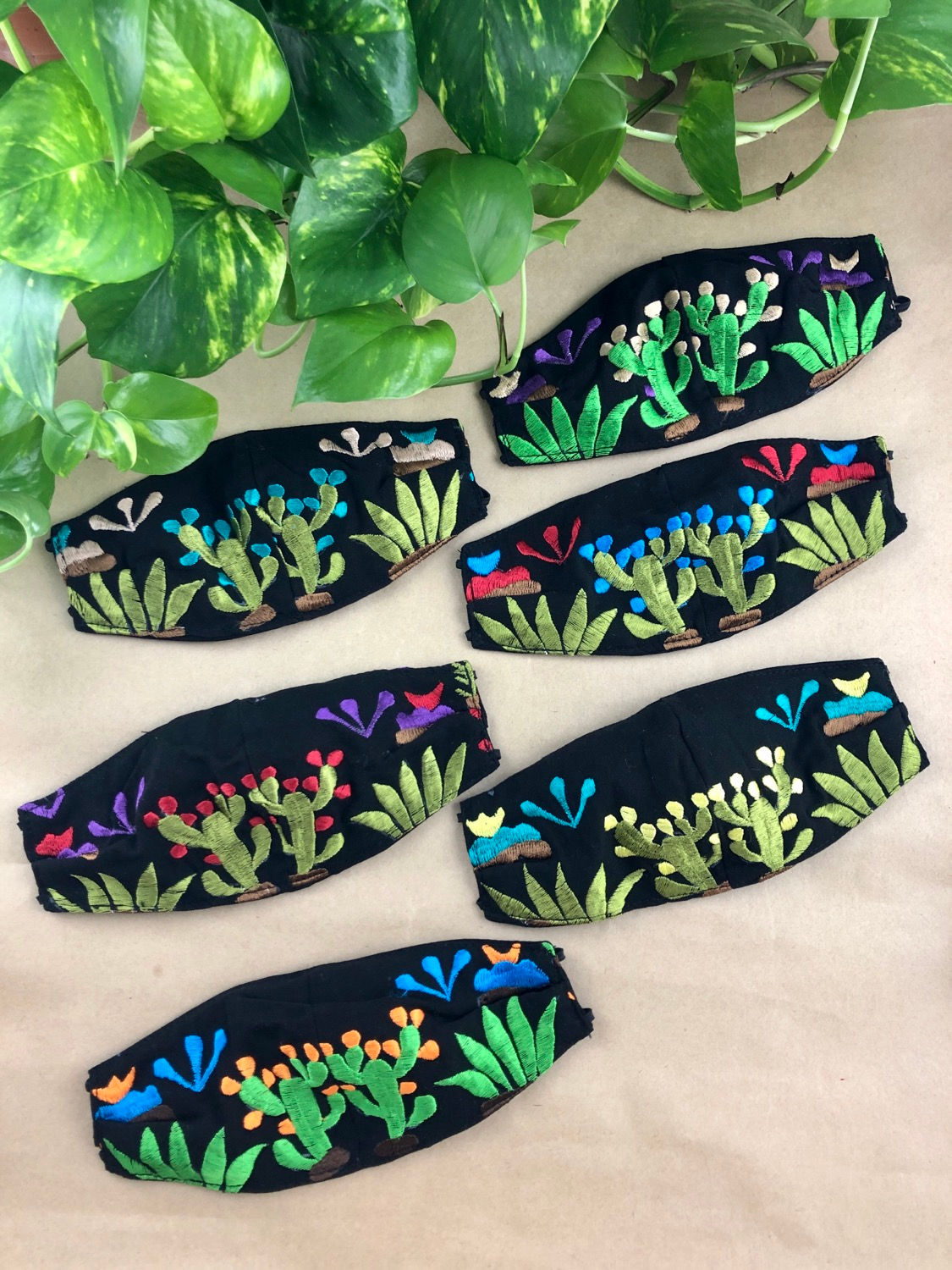 Agave &amp; Kaktus - Gesichtsmaske