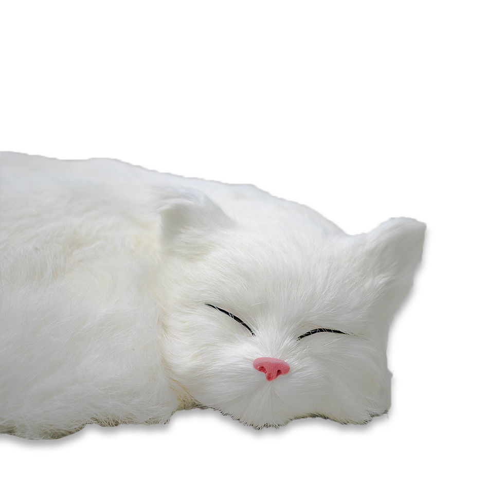 Miniatura: GATO BARTHON