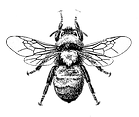 9a000ac049b9f4cdd3facb1f2d40bcde.png