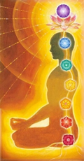 The Interconnection of Body- Mind - Spirit 