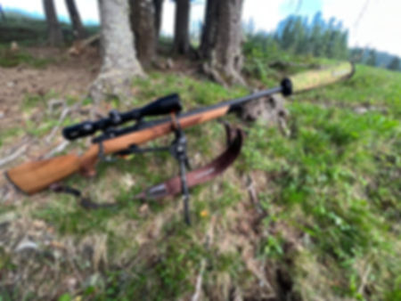 Carbon Titanium Bipod Carinthia 