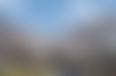 What Do Japanese People Actually Do at Hanami?🌸