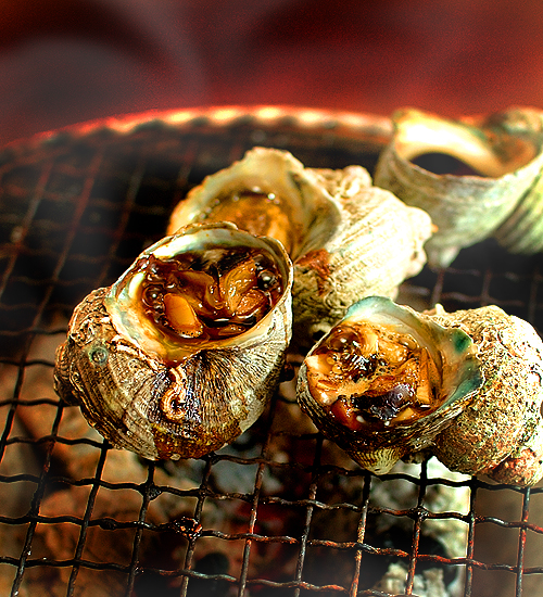 Turban Shell