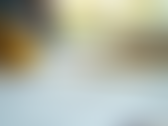 The Importance of Professional Landscaping Designs for Clear Communication in Quinte West, Brighton, and Belleville