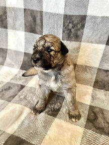 Photo Nov 11 2023, 1 35 51 PM.jpg