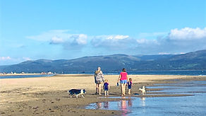 Aberdovey Sandy Beach - Aberdovey Hillside Village