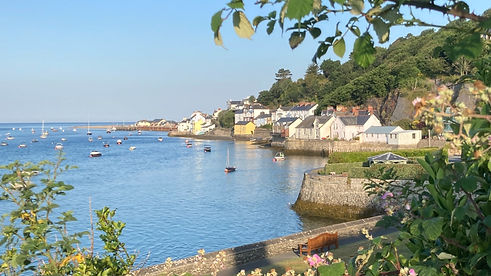Hillside Village Aberdovey Wales - holiday cottages - self-catering accommodation - view f