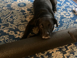 How To Crush Physical Therapy