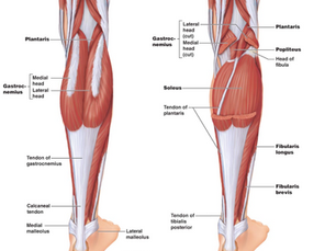 2020: The Year of No Achilles Pain