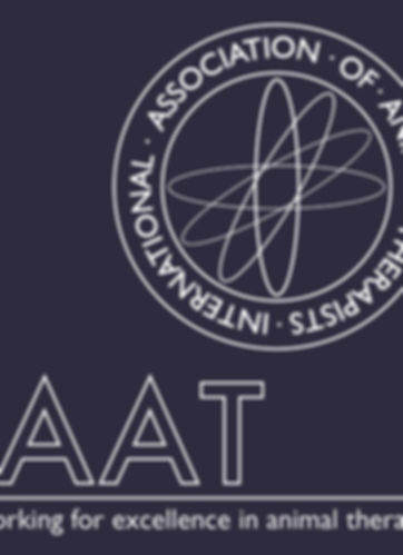 Lara MuƱoz, animal musculoskeletal therapist, member of the IAAT