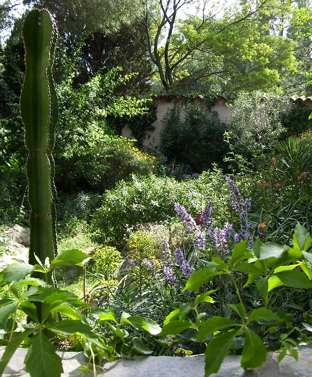 Home Paradis De Valerie