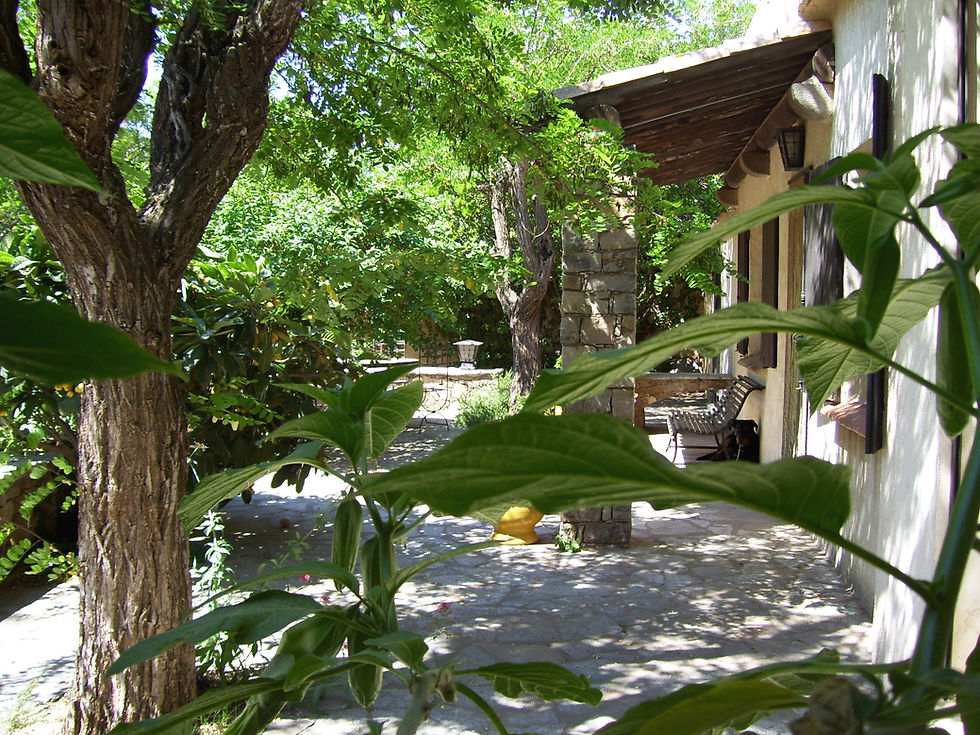 La terrasse