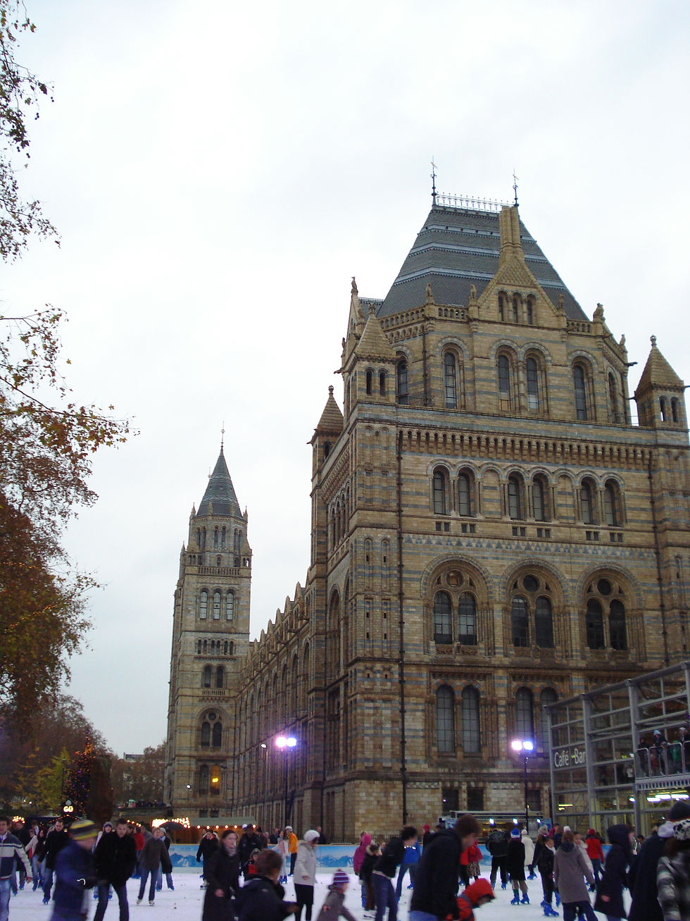 Natural History Museum - Free*