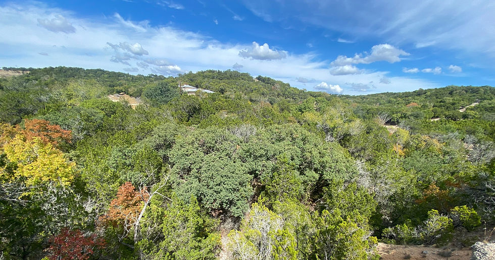 The Estates At Tapatio Springs Divine Developments