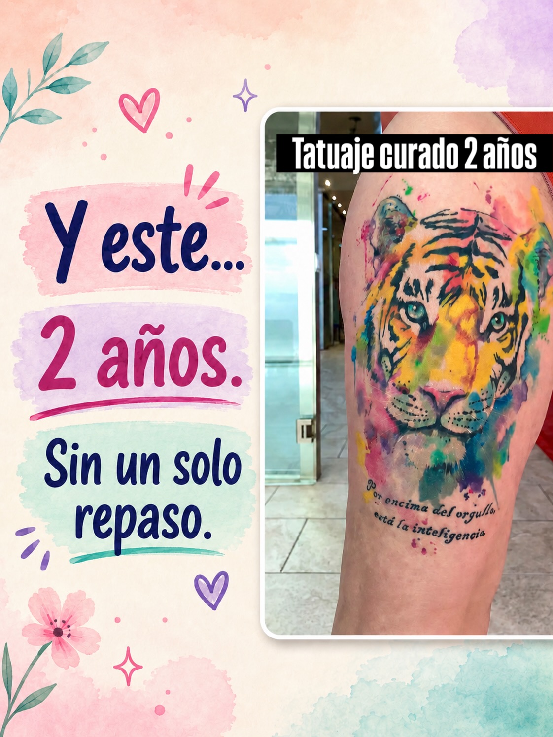 Tigre de frente con acuarela amarilla, rosa, verde y azul, presentado por Laura como curado dos años sin repaso.
