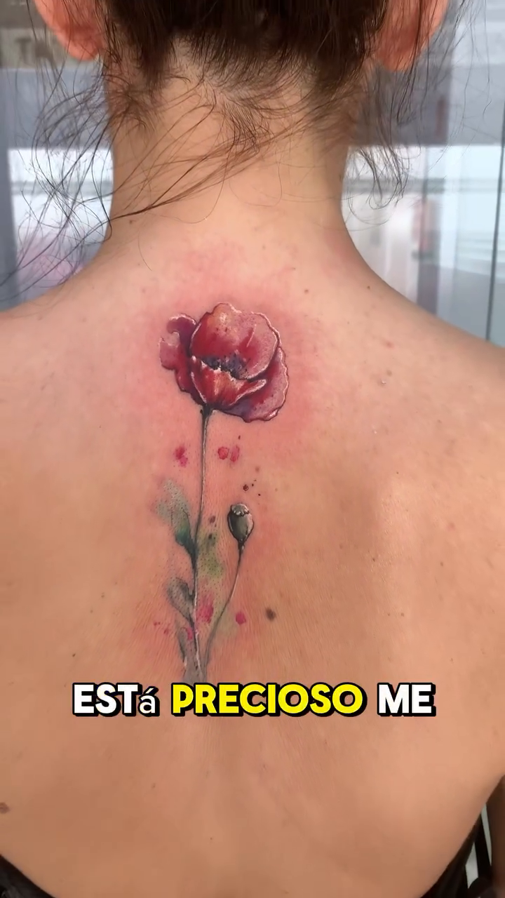 Flor rojiza y violeta en acuarela, con tallo verde y manchas de color en la espalda