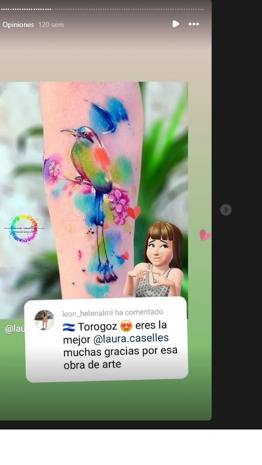 Story original del tatuaje de un pájaro a color con el comentario que lo llama Torogoz y agradece el trabajo a Laura