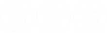 Untitled design (56).png