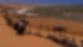 Ed Nescot in Morocco Good Porpoise Productions