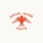 Soar Over Hate