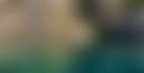 boat tour sesimbra 2