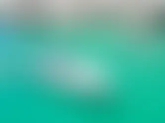 Luxury boat rental Sesimbra: Sunseeker