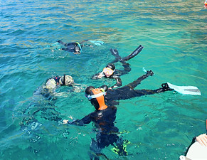 snorkeling sesimbra arrabida_2