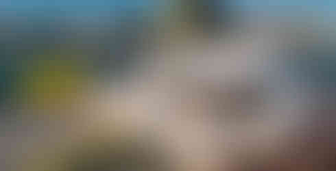 boat tour sesimbra 15