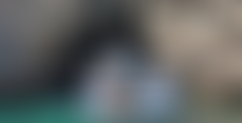 boat tour sesimbra 21