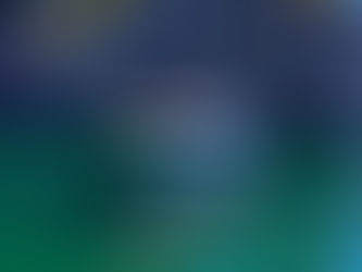 sesimbra sunseeker charter